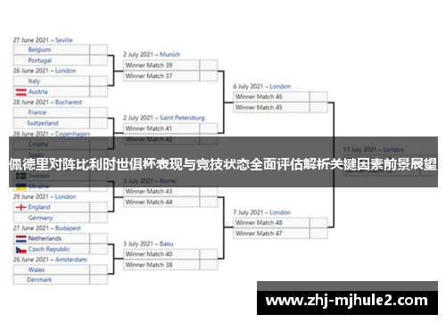 佩德里对阵比利时世俱杯表现与竞技状态全面评估解析关键因素前景展望