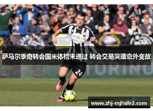 萨马尔季奇转会国米体检未通过 转会交易突遭意外变故