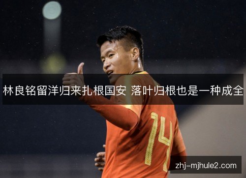 林良铭留洋归来扎根国安 落叶归根也是一种成全 林良铭留洋归来扎根国安 落叶归根也是一种成全